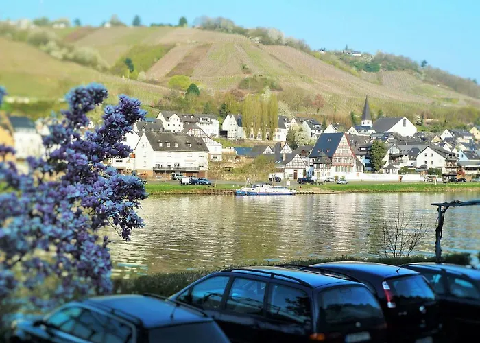 Mosel Ausblick
