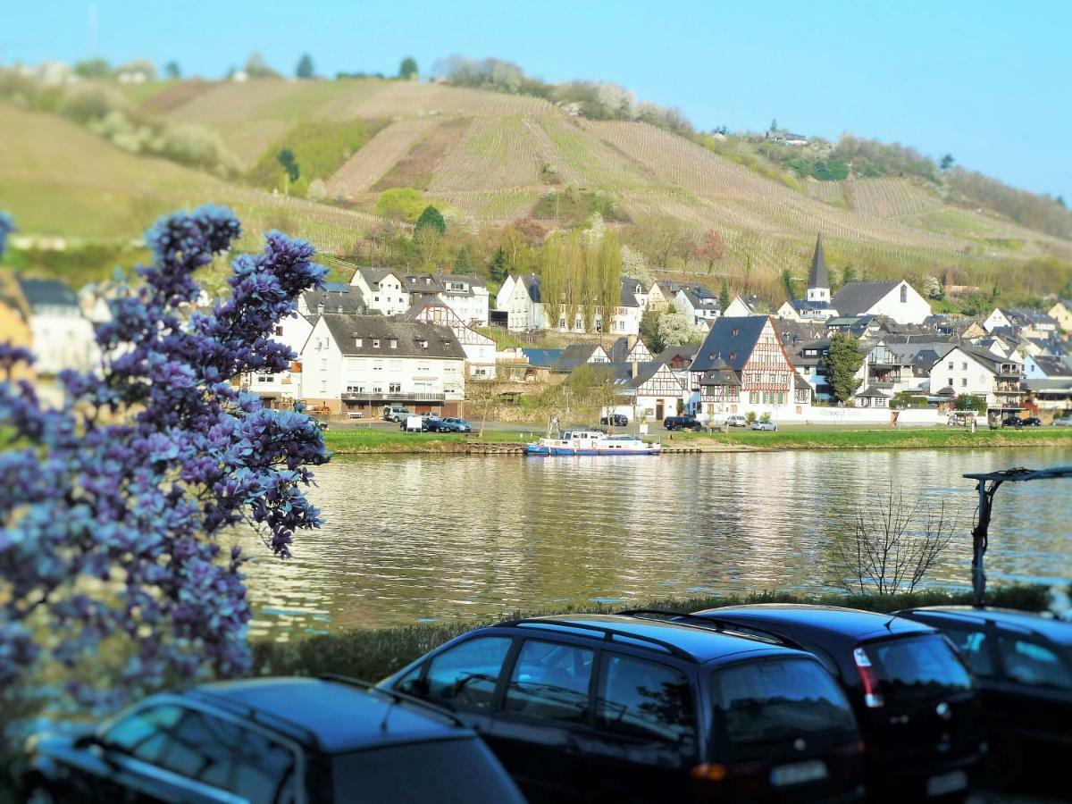 Mosel Ausblick Zell an der Mosel