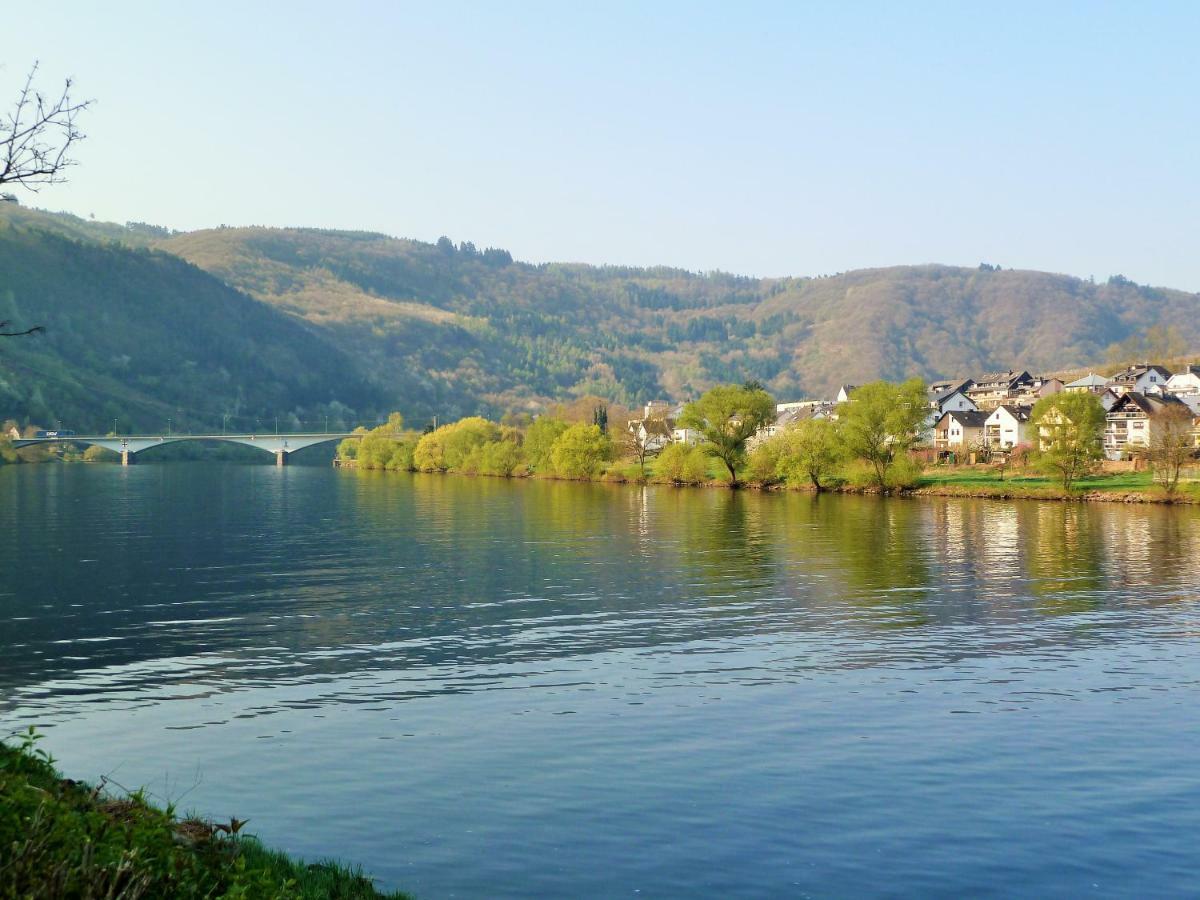 Mosel Ausblick * Zell an der Mosel