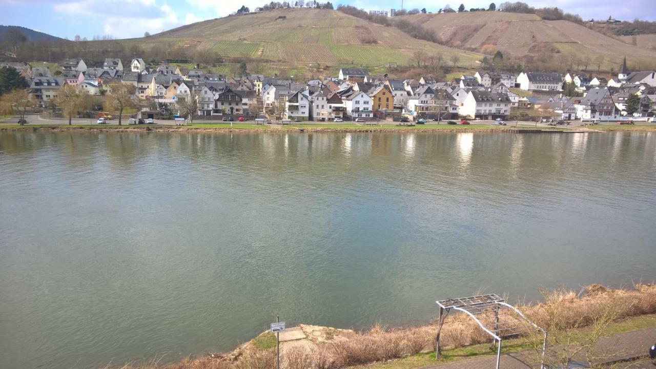 Mosel Ausblick * Zell an der Mosel